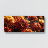 Chrysanthemum Shadows 23