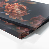 Chrysanthemum Shadows 25