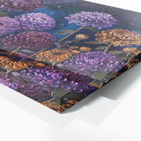 Chrysanthemum Starlit 5