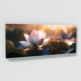 Lotus Dawn 18