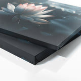 Lotus Mystic Bloom 20