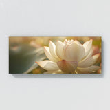 Lotus Petal Symphony 12