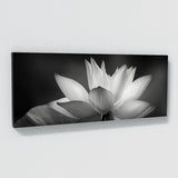 Lotus Whispering 13