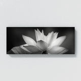 Lotus Whispering 13