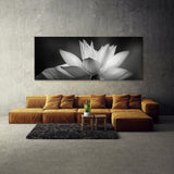 Lotus Whispering 13