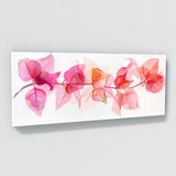 Bougainvillea Petal Whisper 11