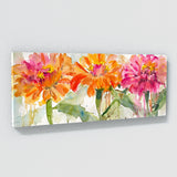 Zinnia Color Burst 17