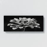 Zinnia Contrast Bloom 26
