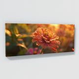 Zinnia Golden Glow 25