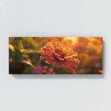Zinnia Golden Glow 25