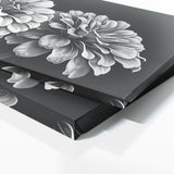 Zinnia Monochrome Elegance 32