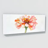 Zinnia Whispered Hues 10