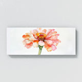 Zinnia Whispered Hues 10