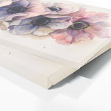 Anemone Blushing 12