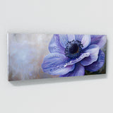 Anemone Dewy 5
