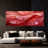 Camellia Dewkissed Elegance 16