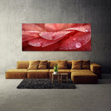 Camellia Dewkissed Elegance 16