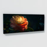 Camellia Midnight 18