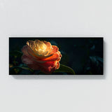 Camellia Midnight 18