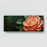Camellia Serenity 1