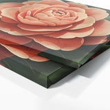 Camellia Serenity 1