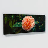 Camellia Serenity 2