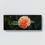 Camellia Serenity 2