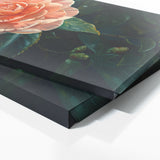 Camellia Serenity 2