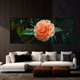 Camellia Serenity 2