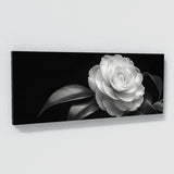 Camellia Timeless Elegance 21