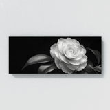Camellia Timeless Elegance 21