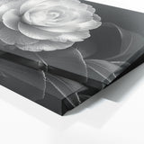 Camellia Timeless Elegance 21