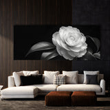 Camellia Timeless Elegance 21