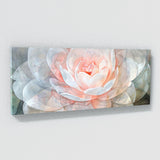 Camellia Translucent Glow 11