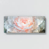 Camellia Translucent Glow 11