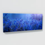 Bluebell Twilight 19