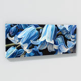 Bluebell Velvety 5