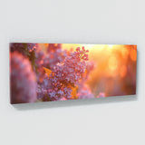 Lilac Sunset Radiance 25