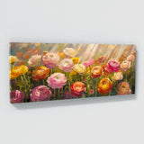 Ranunculus Dappled Blooms 13