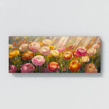 Ranunculus Dappled Blooms 13