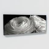 Ranunculus Petal Elegance 16