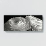 Ranunculus Petal Elegance 16
