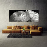 Ranunculus Petal Elegance 16