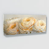 Ranunculus Petal Serenity 7
