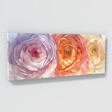 Ranunculus Petal Whispers 9