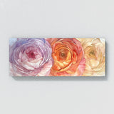 Ranunculus Petal Whispers 9