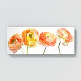 Ranunculus Petaled Serenity 8
