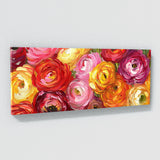 Ranunculus Radiant Bloom 12