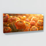 Ranunculus Radiant Glow 19