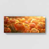 Ranunculus Radiant Glow 19